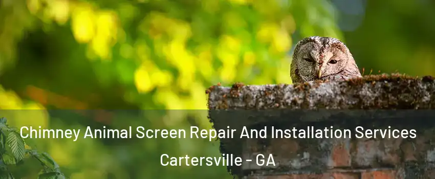  Chimney Animal Screen Repair And Installation Services Cartersville - GA