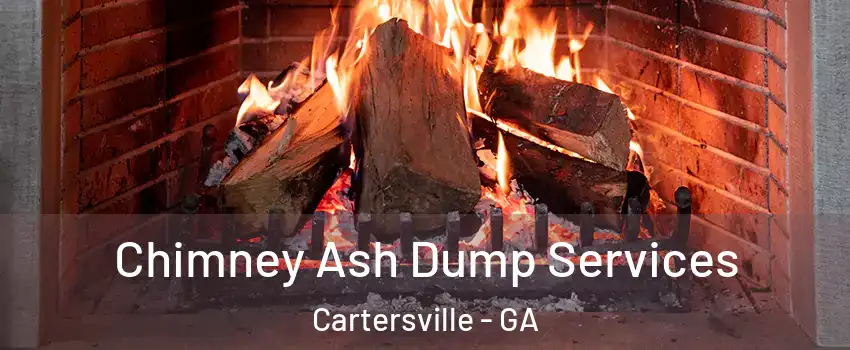  Chimney Ash Dump Services Cartersville - GA