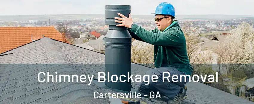  Chimney Blockage Removal Cartersville - GA