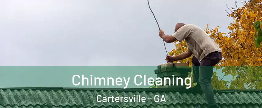  Chimney Cleaning Cartersville - GA
