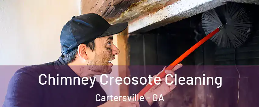  Chimney Creosote Cleaning Cartersville - GA