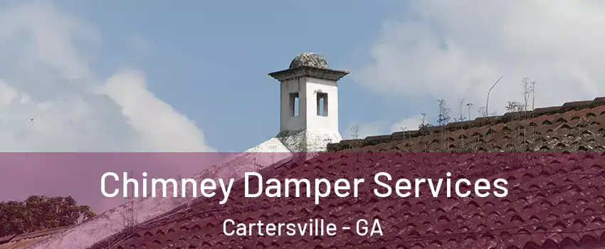  Chimney Damper Services Cartersville - GA