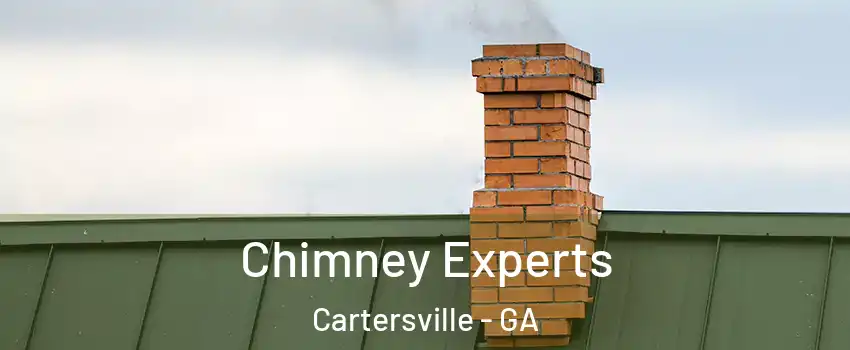  Chimney Experts Cartersville - GA