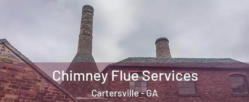  Chimney Flue Services Cartersville - GA