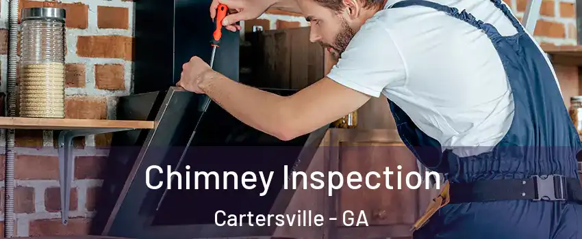  Chimney Inspection Cartersville - GA