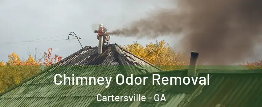  Chimney Odor Removal Cartersville - GA