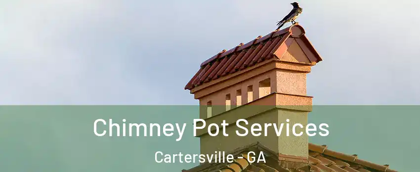  Chimney Pot Services Cartersville - GA