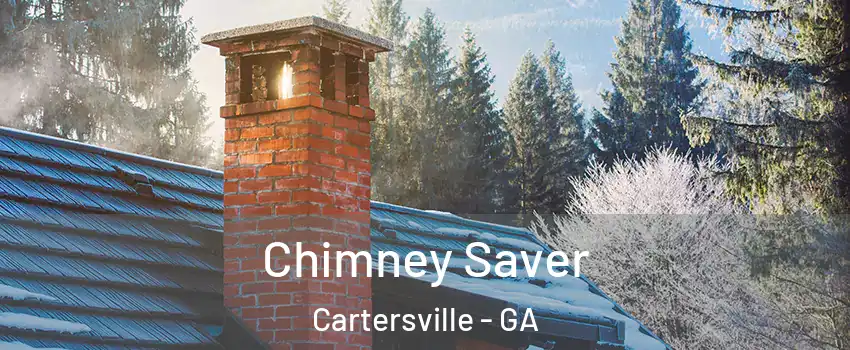  Chimney Saver Cartersville - GA