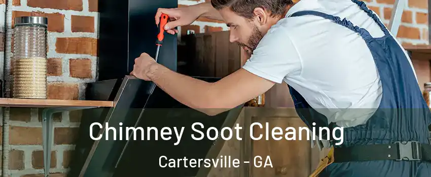  Chimney Soot Cleaning Cartersville - GA