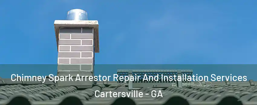  Chimney Spark Arrestor Repair And Installation Services Cartersville - GA