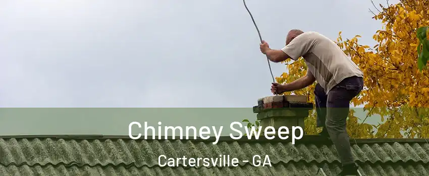  Chimney Sweep Cartersville - GA