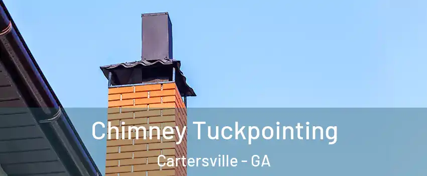  Chimney Tuckpointing Cartersville - GA