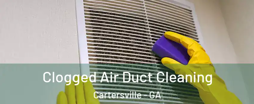  Clogged Air Duct Cleaning Cartersville - GA