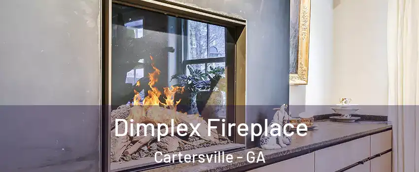  Dimplex Fireplace Cartersville - GA