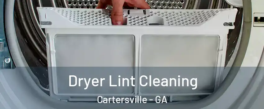  Dryer Lint Cleaning Cartersville - GA