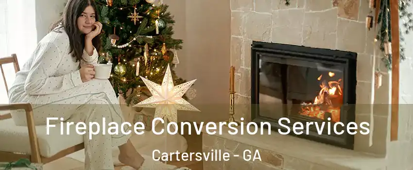  Fireplace Conversion Services Cartersville - GA
