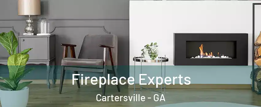  Fireplace Experts Cartersville - GA