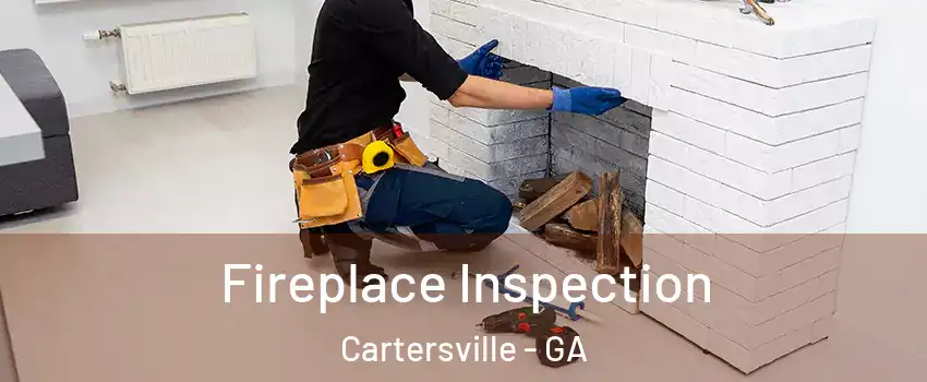  Fireplace Inspection Cartersville - GA
