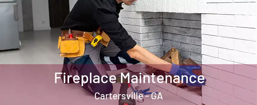  Fireplace Maintenance Cartersville - GA