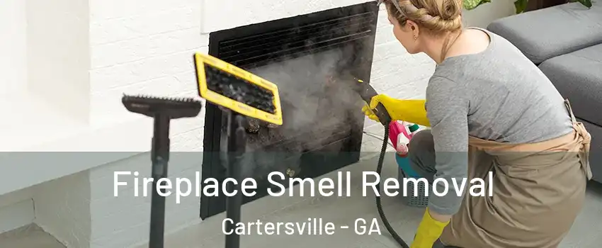  Fireplace Smell Removal Cartersville - GA