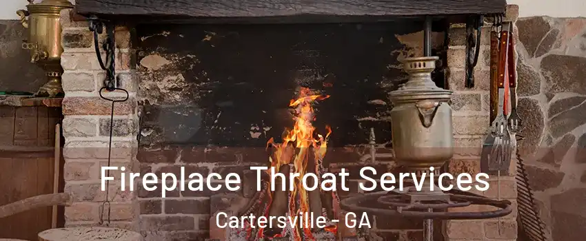  Fireplace Throat Services Cartersville - GA
