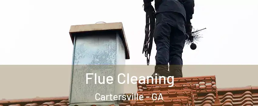  Flue Cleaning Cartersville - GA