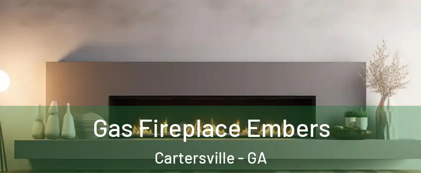  Gas Fireplace Embers Cartersville - GA