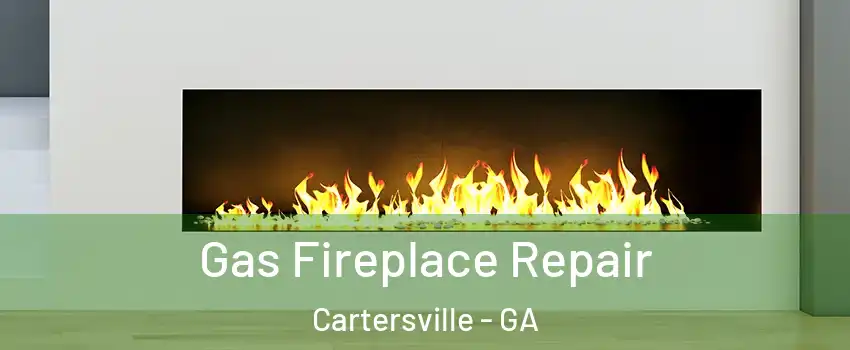  Gas Fireplace Repair Cartersville - GA