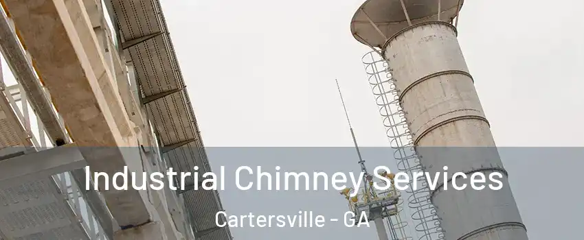  Industrial Chimney Services Cartersville - GA