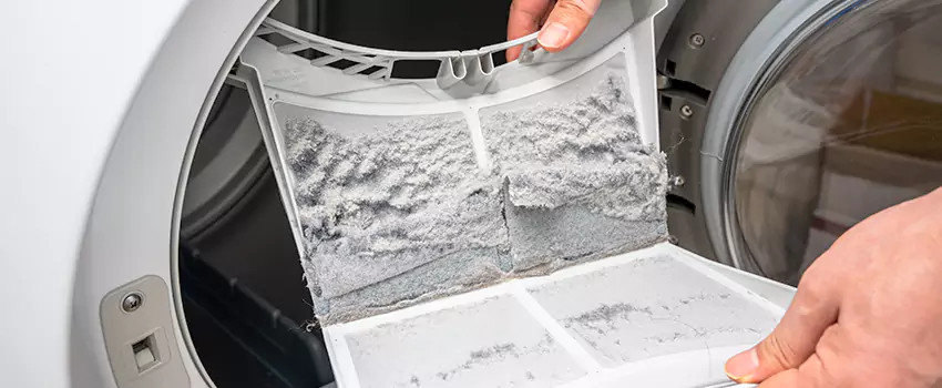 Best Dryer Lint Removal Company in Cartersville, Georgia