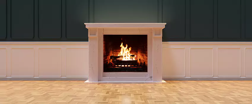 Napoleon Electric Fireplaces Inspection Service in Cartersville, Georgia