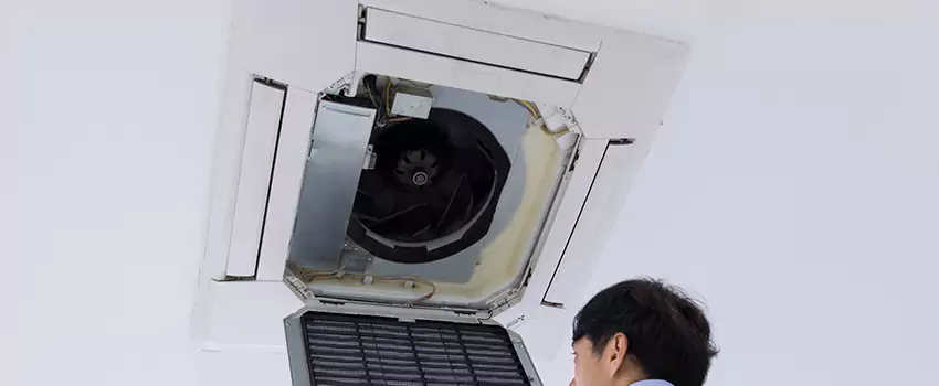 Benefits of Professional Air Duct Cleaning in Cartersville, Georgia