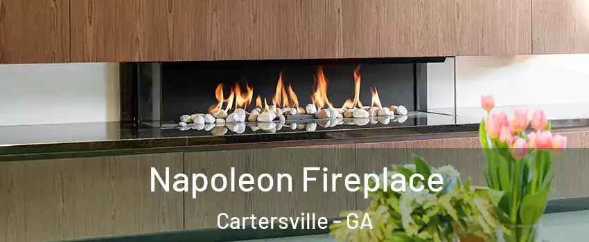  Napoleon Fireplace Cartersville - GA