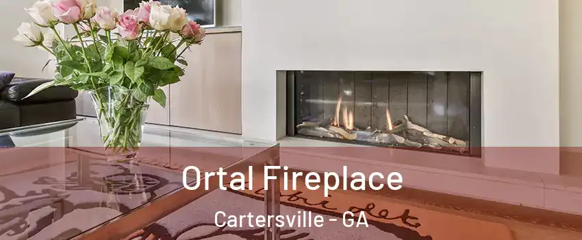 Ortal Fireplace Cartersville - GA