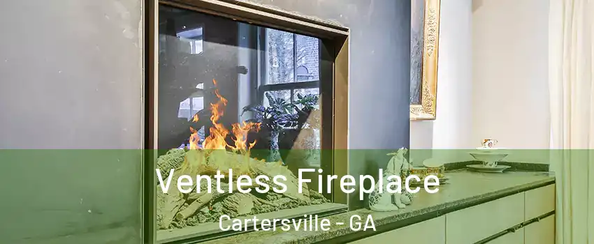  Ventless Fireplace Cartersville - GA